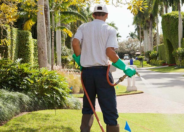 About Clarendon TX Pest Control